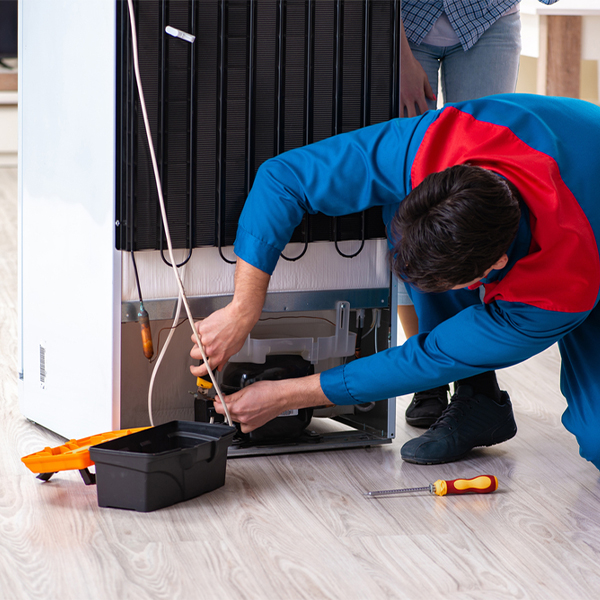 what are the common refrigerator repair services in Minto